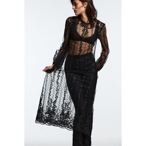 NWT Zara Semi-sheer dress with embroidery (M)